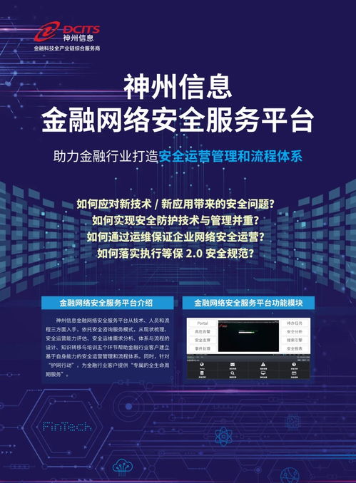 神州信息金融網(wǎng)絡(luò)安全服務(wù)平臺(tái)技術(shù)咨詢(xún)